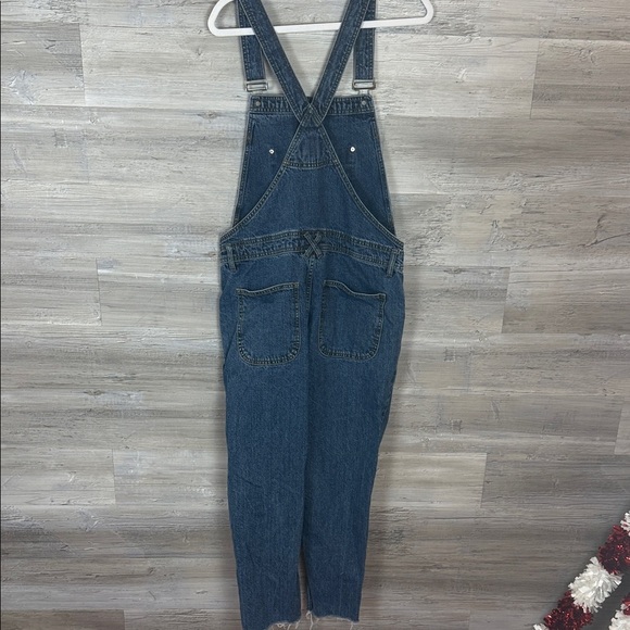 BDG Blue Denim Overalls - Picture 6 of 9